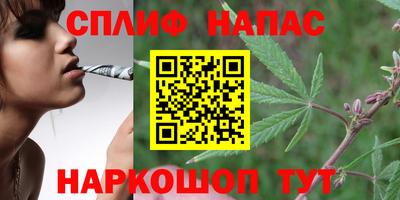 СК Донской
