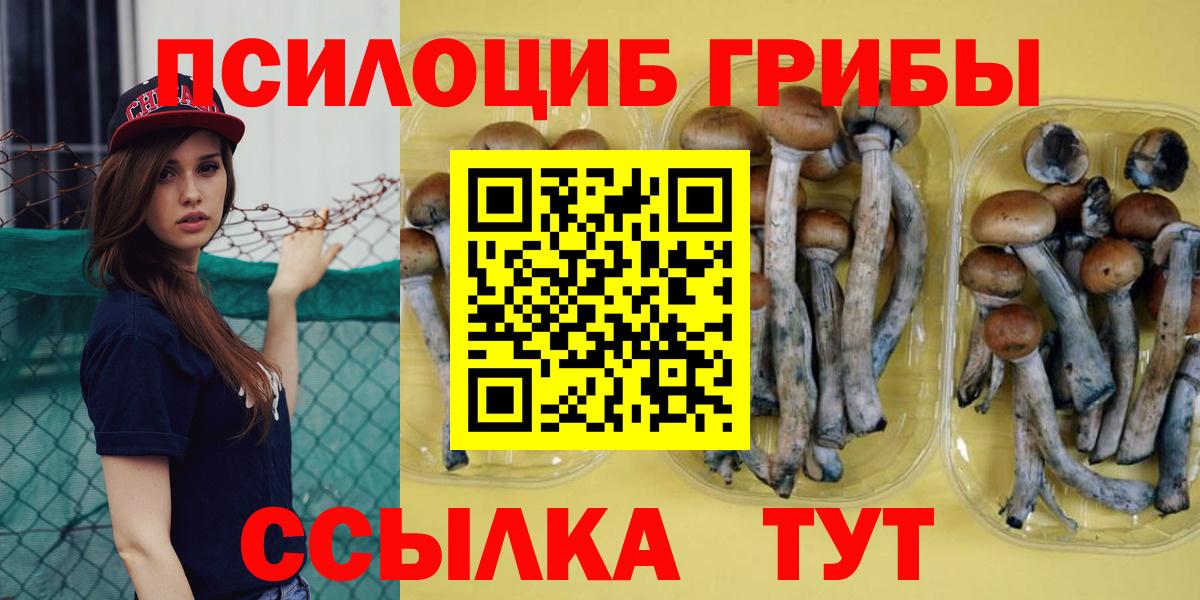 Псилоцибиновые грибы Cubensis  Псилоцибиновые грибы Psilocybine cubensis  Нижний Тагил  Вход с VPN 